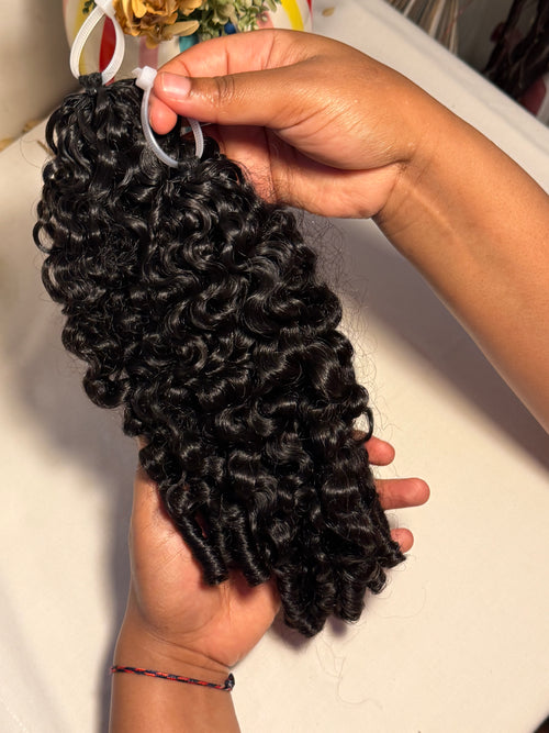 Burmese curly