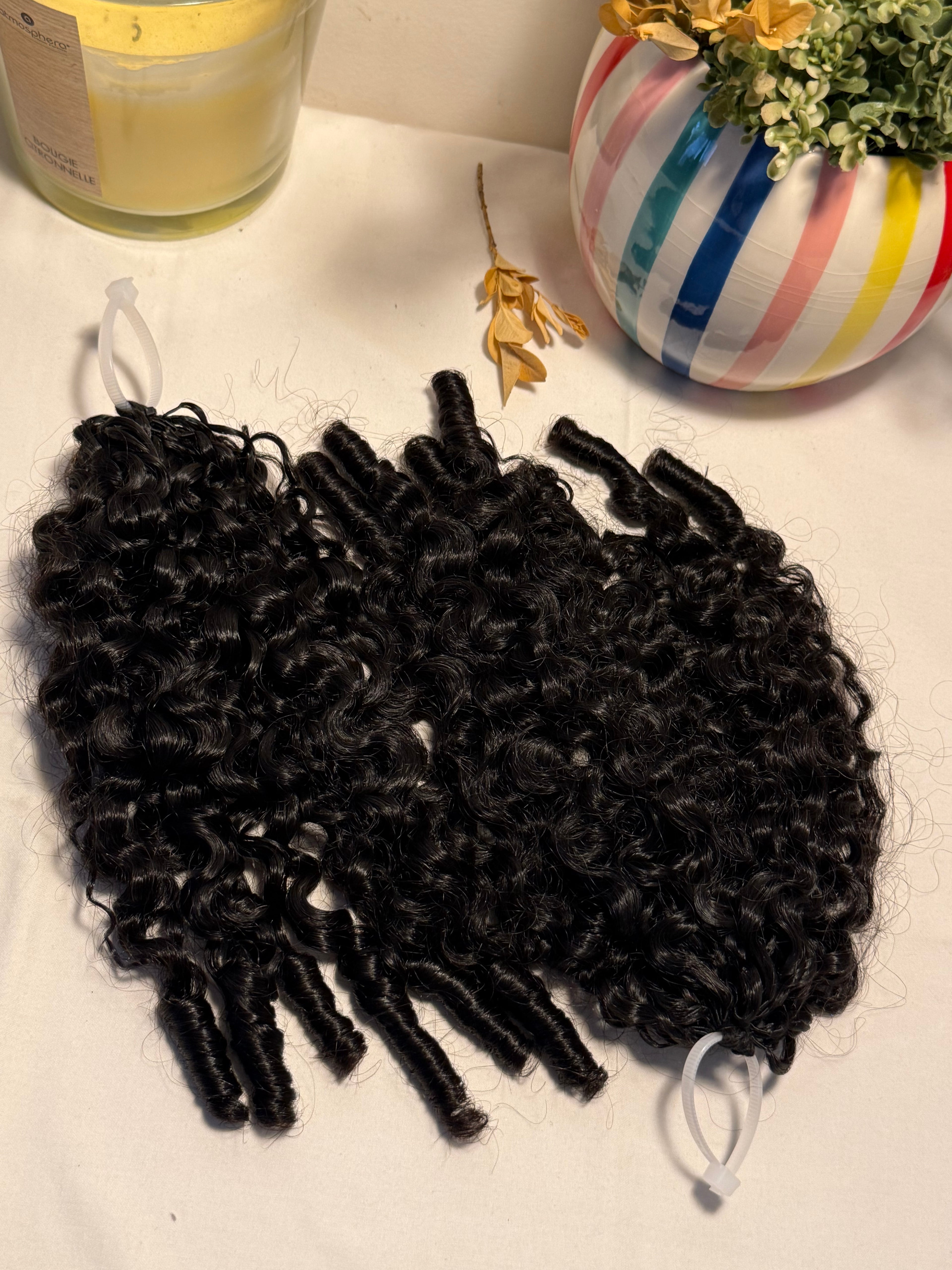 Burmese curly